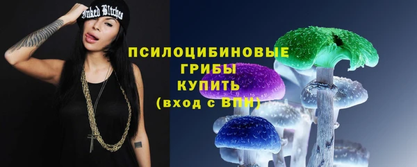 МДПВ Няндома