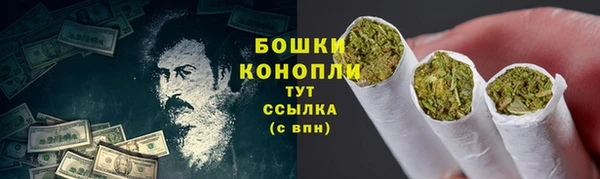 PSILOCYBIN Аркадак