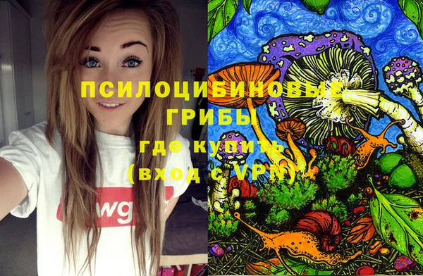 эйфоретик Баксан