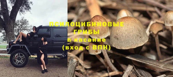 2c-b Армянск
