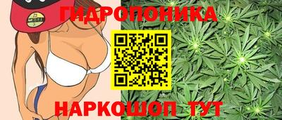 прущие крисы Кулебаки