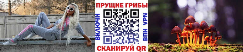 сколько стоит маркетплейс клад Псилоцибиновые грибы мухоморы Спасск-Дальний